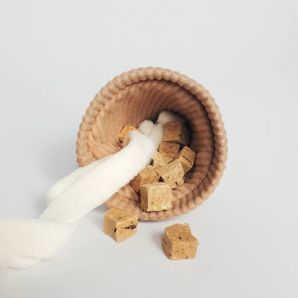 Pop Ice Cream Dog Toy