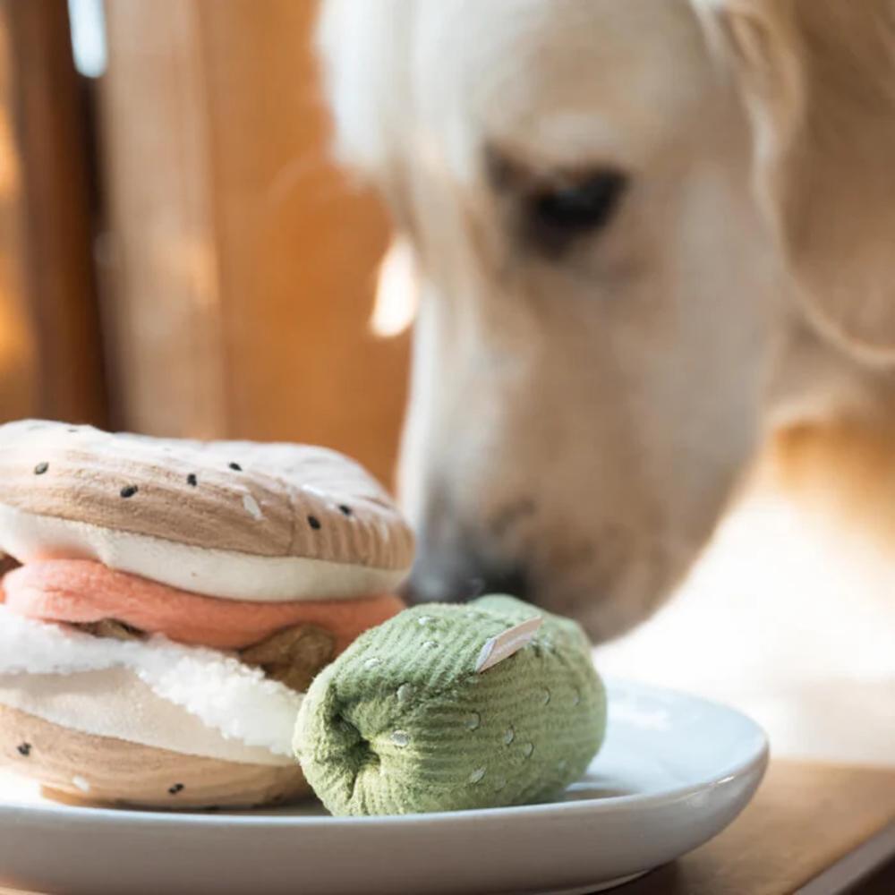 Snuffle Bagel with Pickle Dog Toy