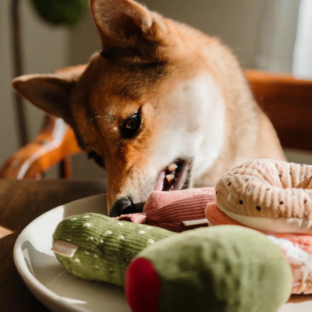 Snuffle Bagel with Pickle Dog Toy