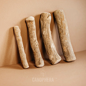 Coffee Tree Stick Dog Chew