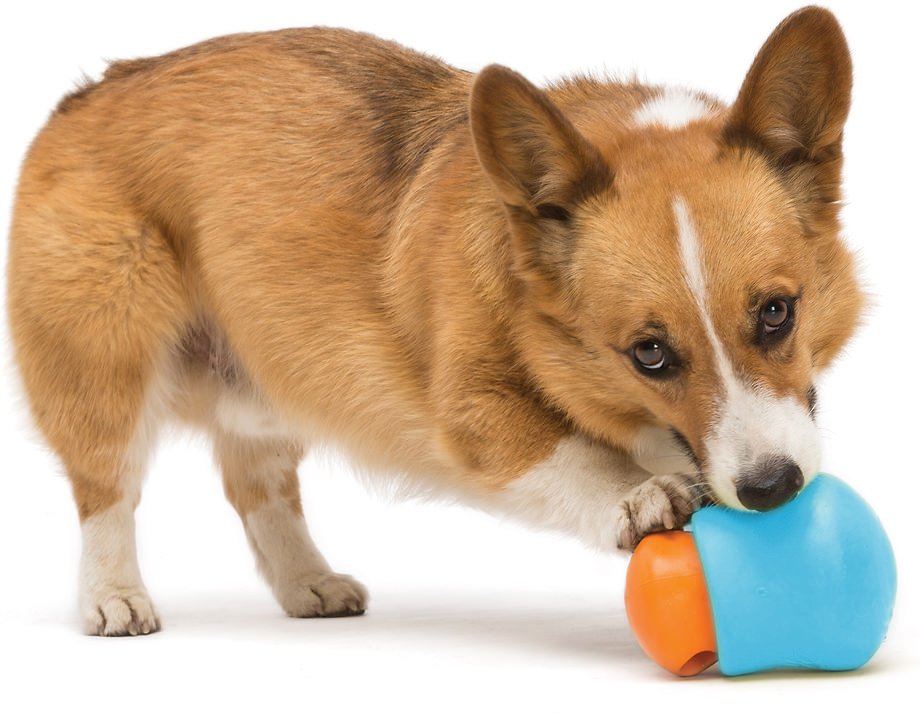 Toppl Dog Treat Toy
