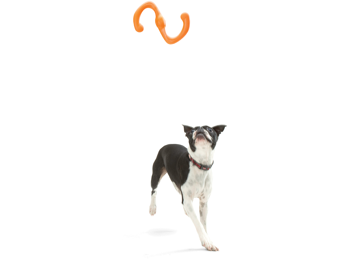 Bumi Dog Tug Toy