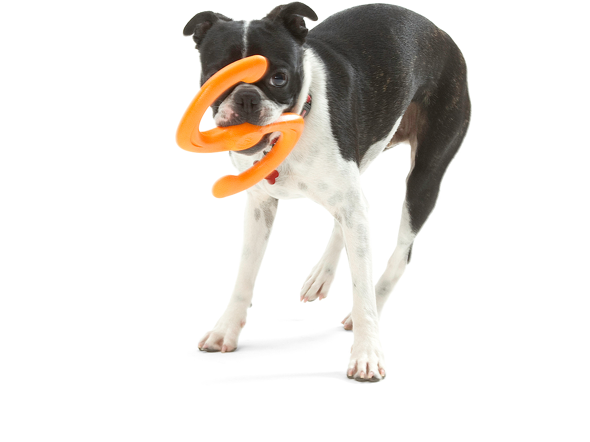 Bumi Dog Tug Toy