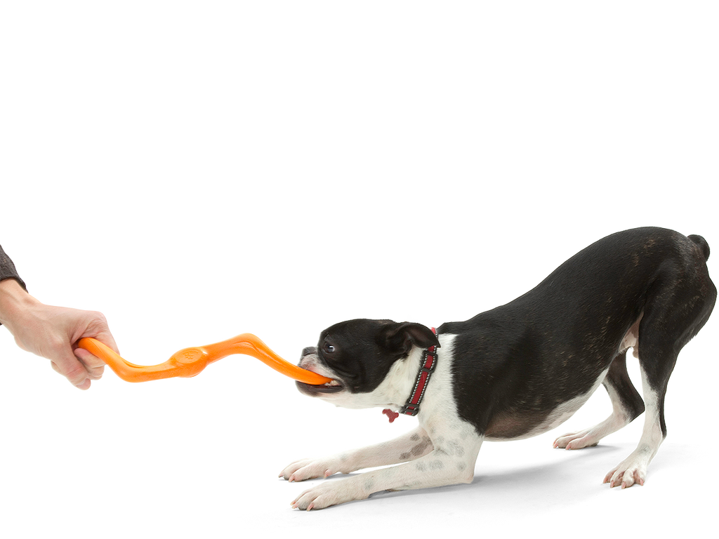 Bumi Dog Tug Toy