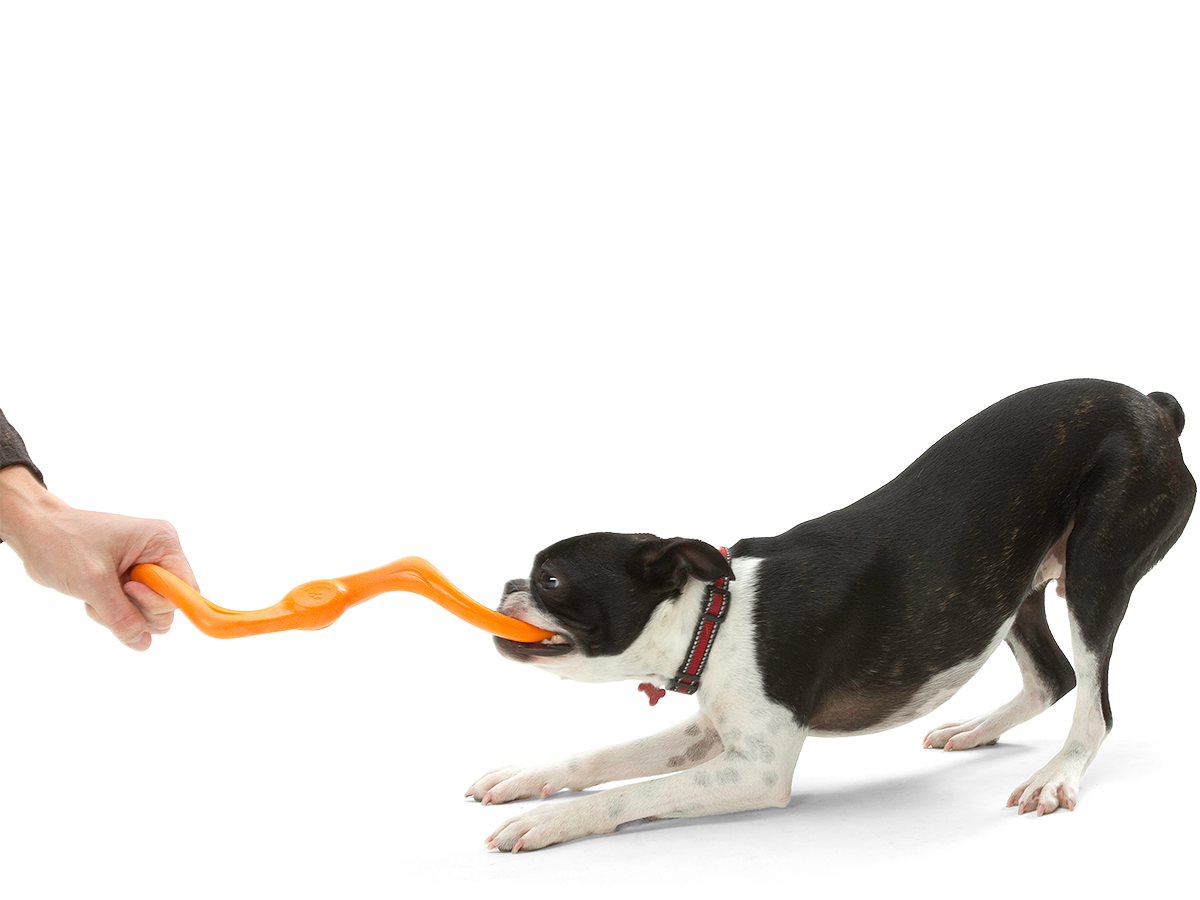 Bumi Dog Tug Toy