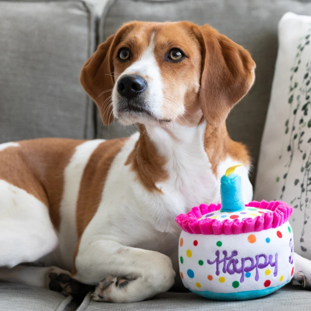 Happy Barkday Cake Dog Plush Toy