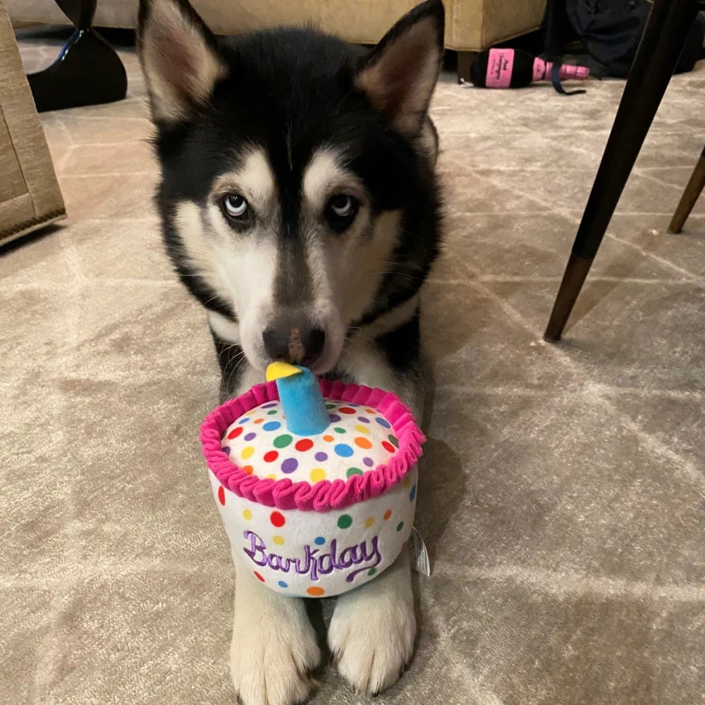 Happy Barkday Cake Dog Plush Toy