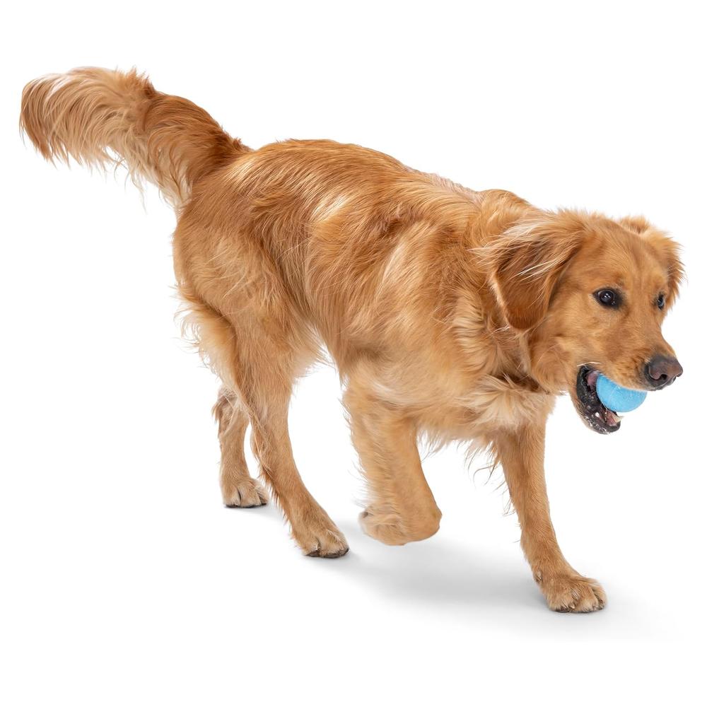 Boundr Dog Ball Toy