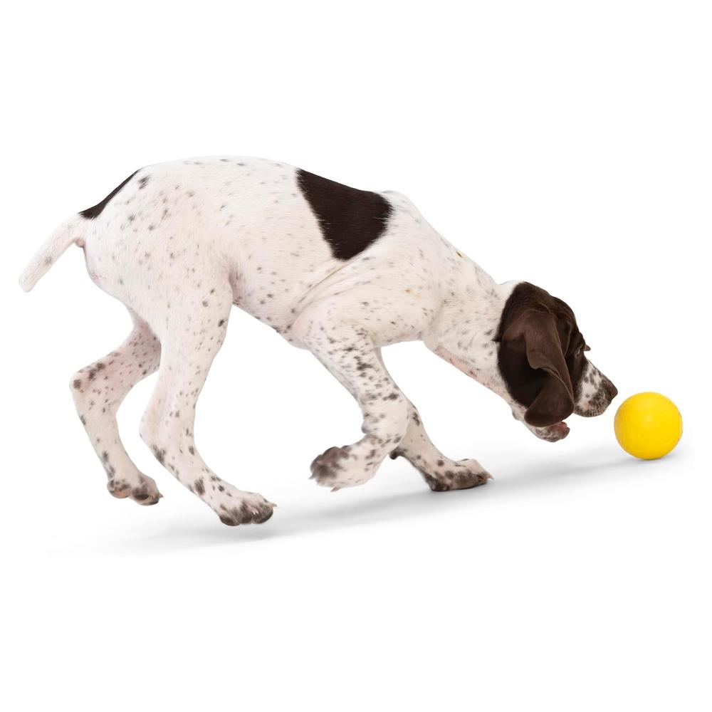 Boundr Dog Ball Toy