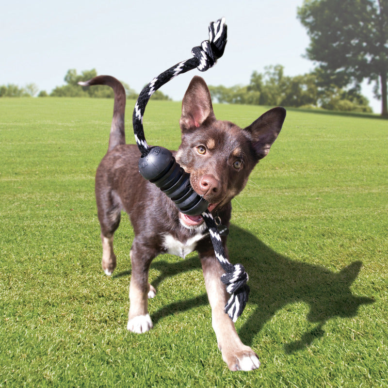 KONG Extreme Dog Dental Toy Lge