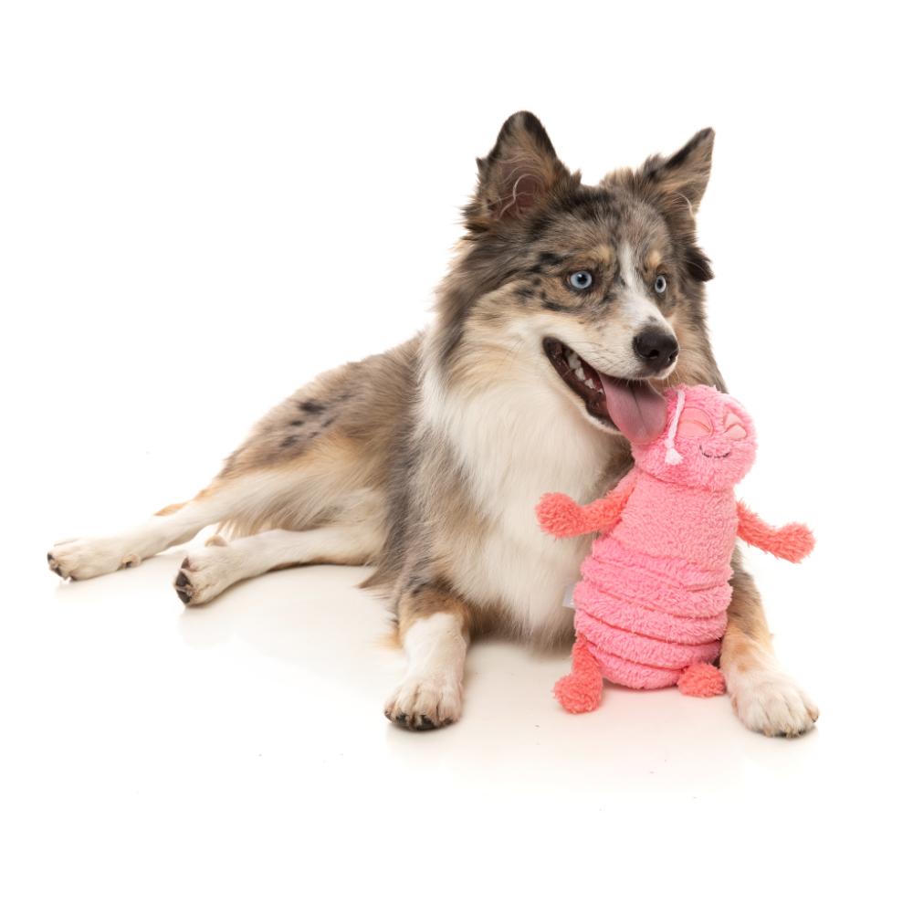 Fuzzyard Plush Dog Toy Flutter the Bed Bug