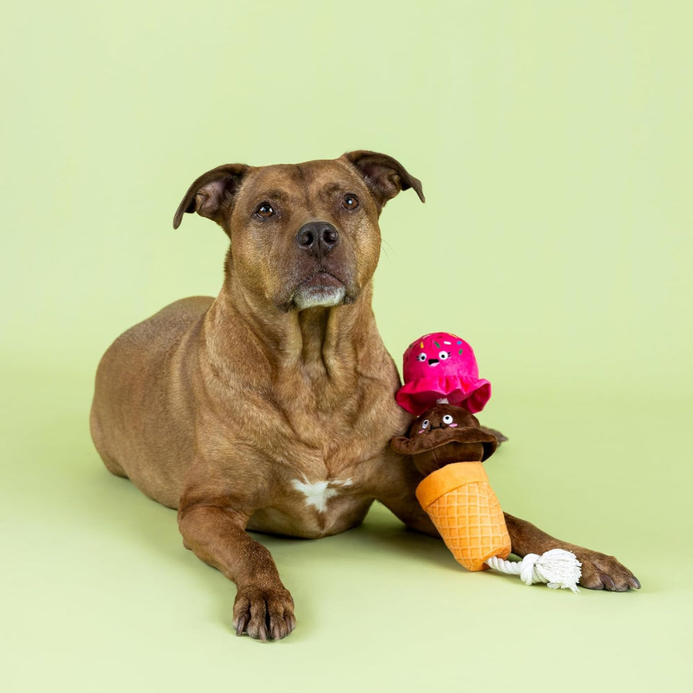 Losing Cone-trol Dog Plush Toy