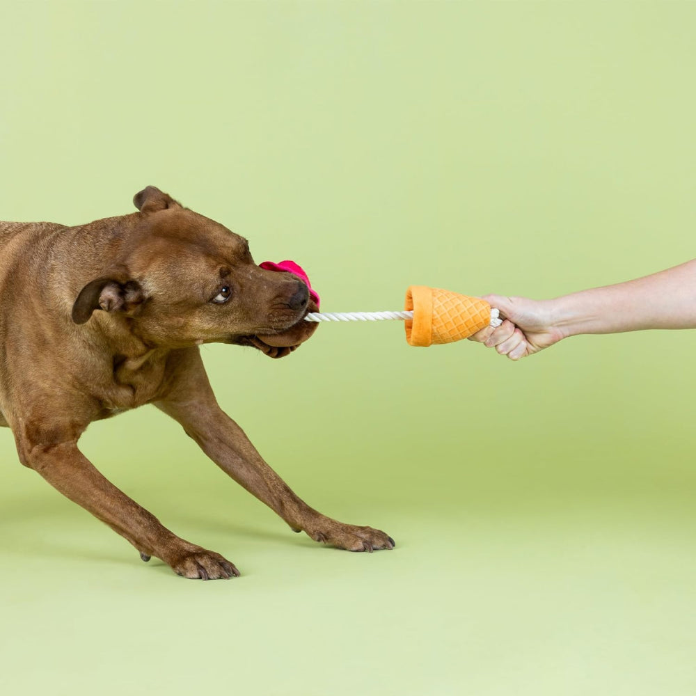 Losing Cone-trol Dog Plush Toy