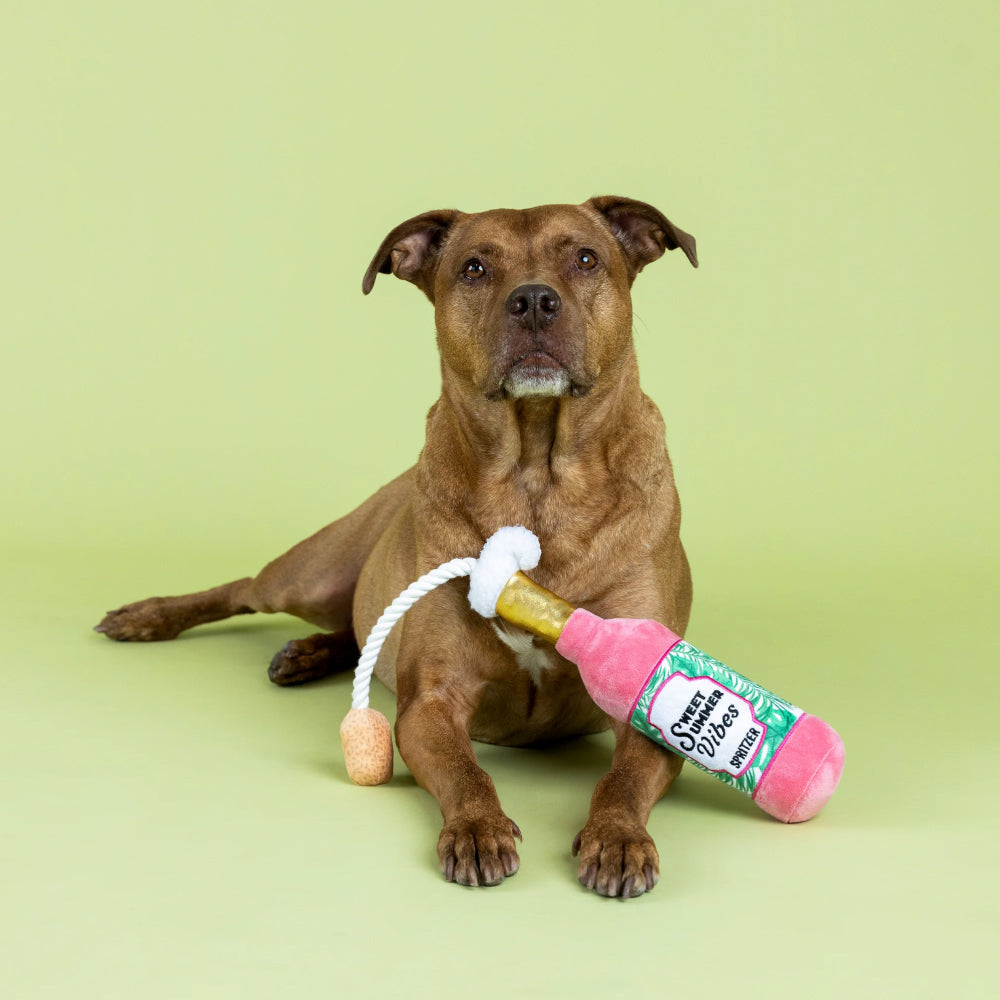 Sweet Summer Vibes Dog Plush Toy