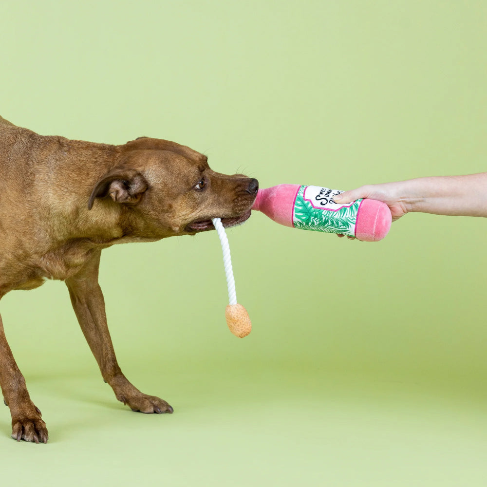 Sweet Summer Vibes Dog Plush Toy