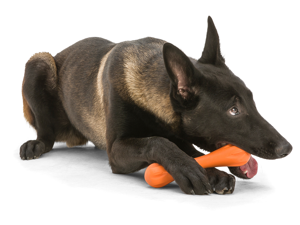 Hurley Dog Bone Chew Toy