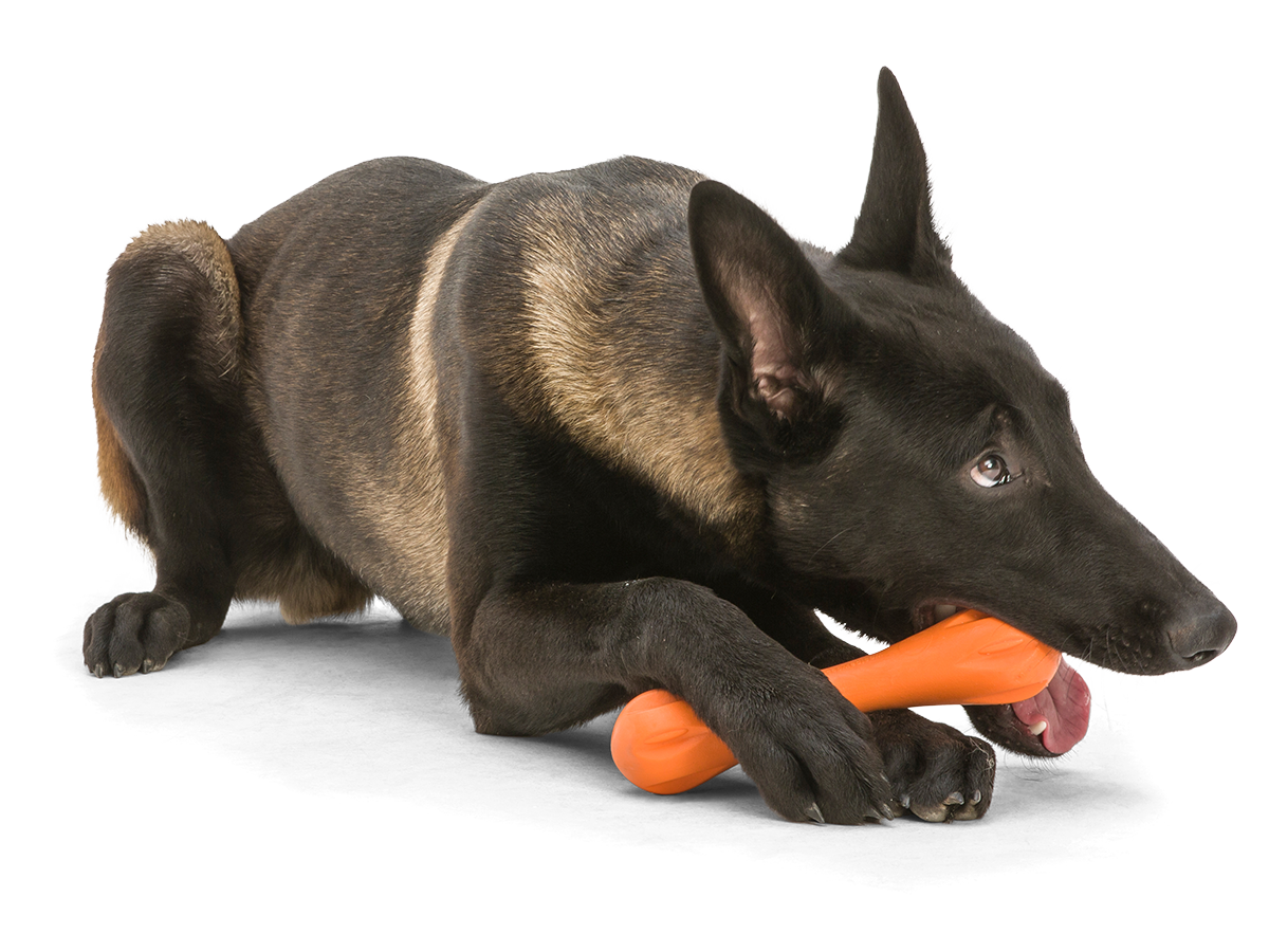 Hurley Dog Bone Chew Toy