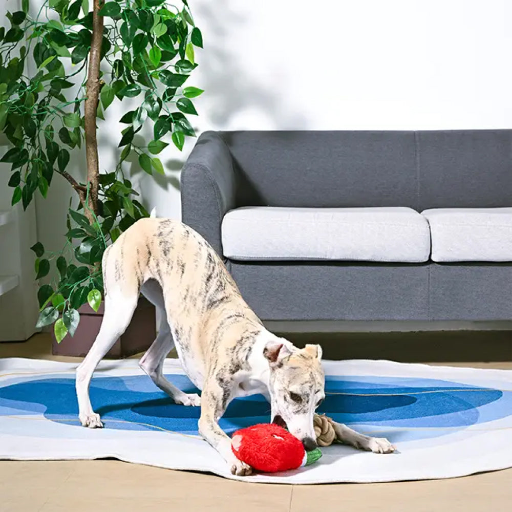 Food Party - Watermelon Popsicles Dog Plush Toy
