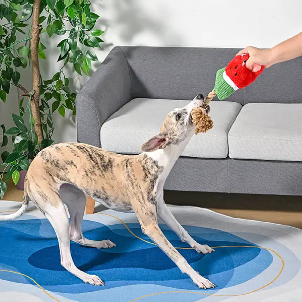 Food Party - Watermelon Popsicles Dog Plush Toy