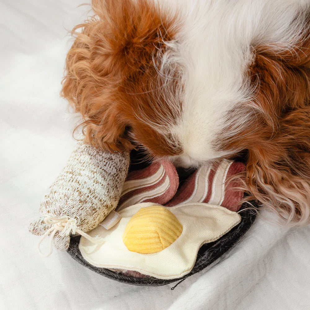 Bfast Burrow & Snuffle Dog Toy