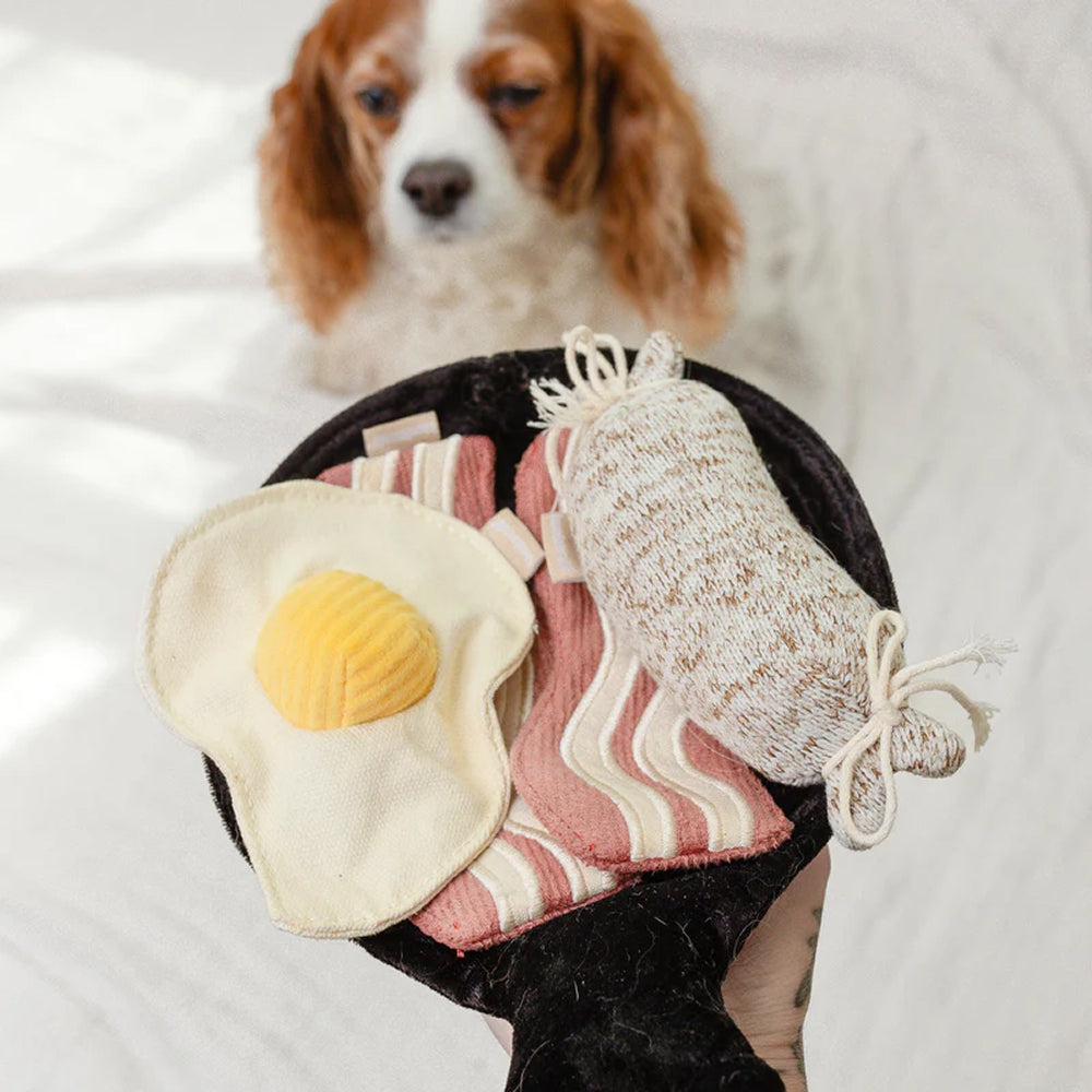 Bfast Burrow & Snuffle Dog Toy