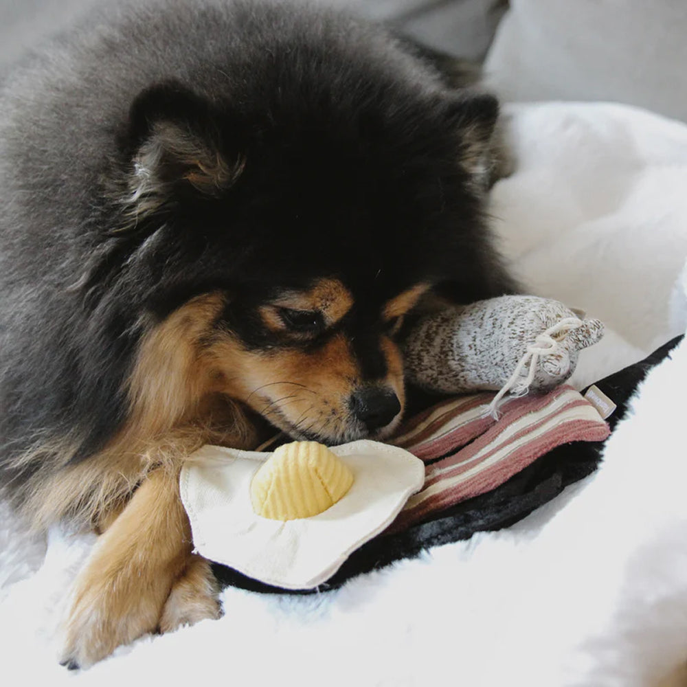 Bfast Burrow & Snuffle Dog Toy