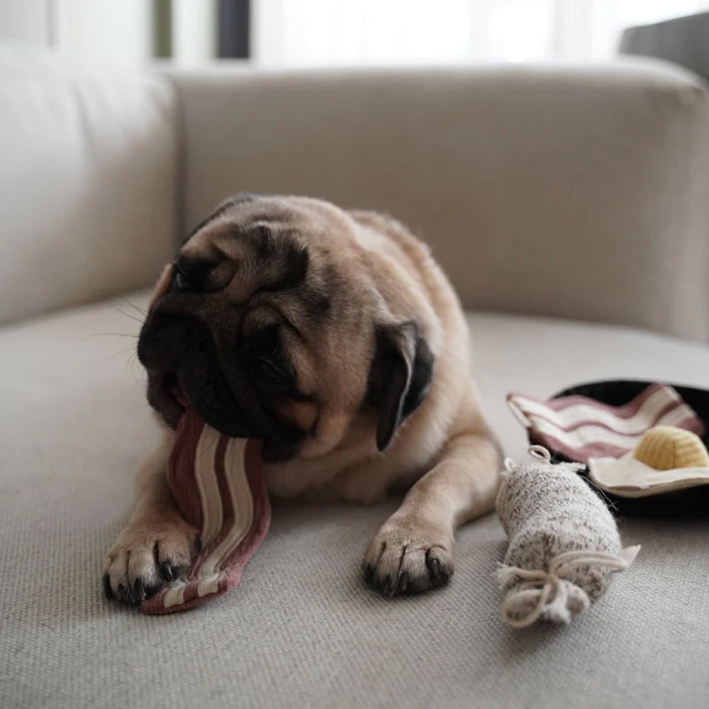 Bfast Burrow & Snuffle Dog Toy