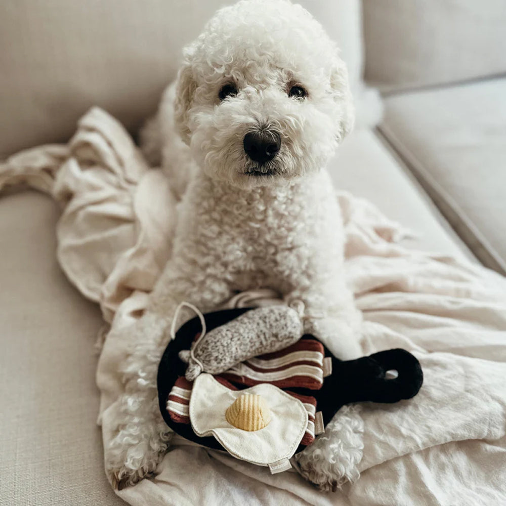 Bfast Burrow & Snuffle Dog Toy