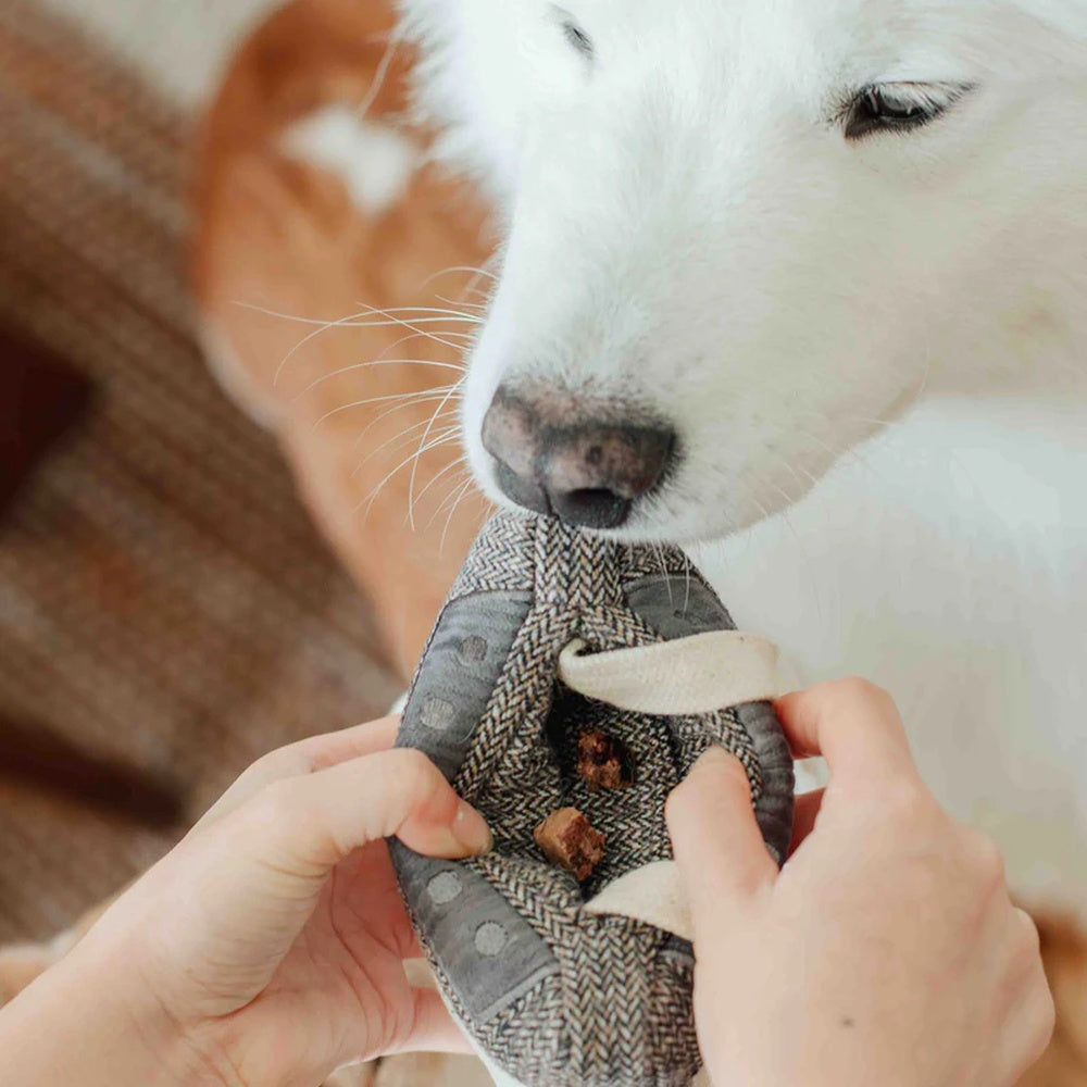 Cassette Snuffle + Squeaky Dog Toy