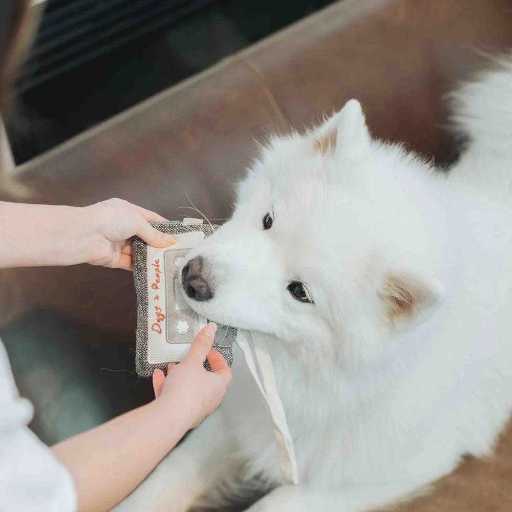 Cassette Snuffle + Squeaky Dog Toy