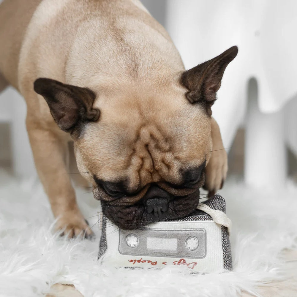 Cassette Snuffle + Squeaky Dog Toy