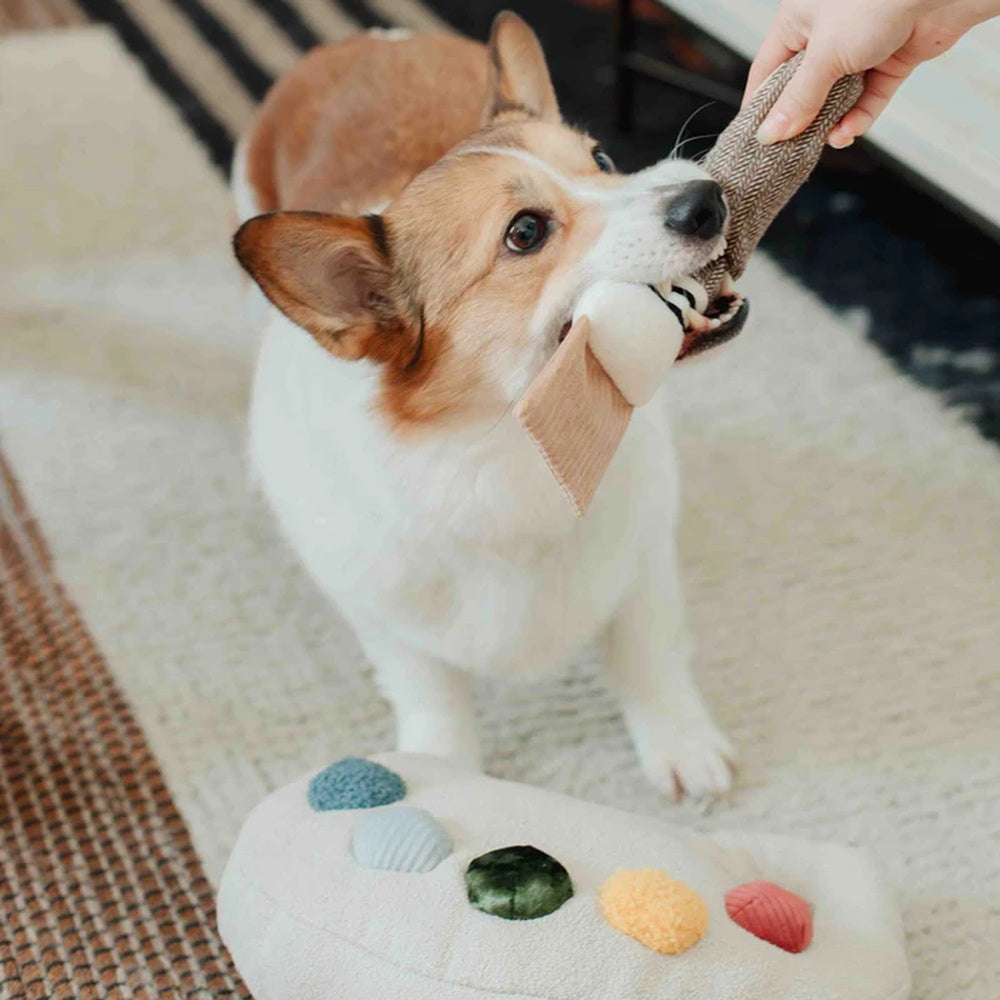 Colour Palette Set Cushion + Toss Dog Toy