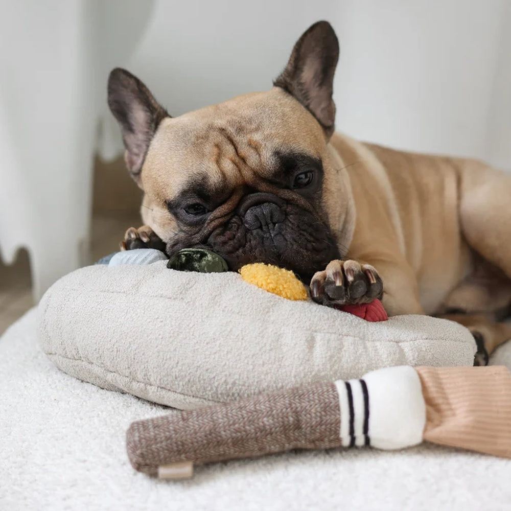 Colour Palette Set Cushion + Toss Dog Toy