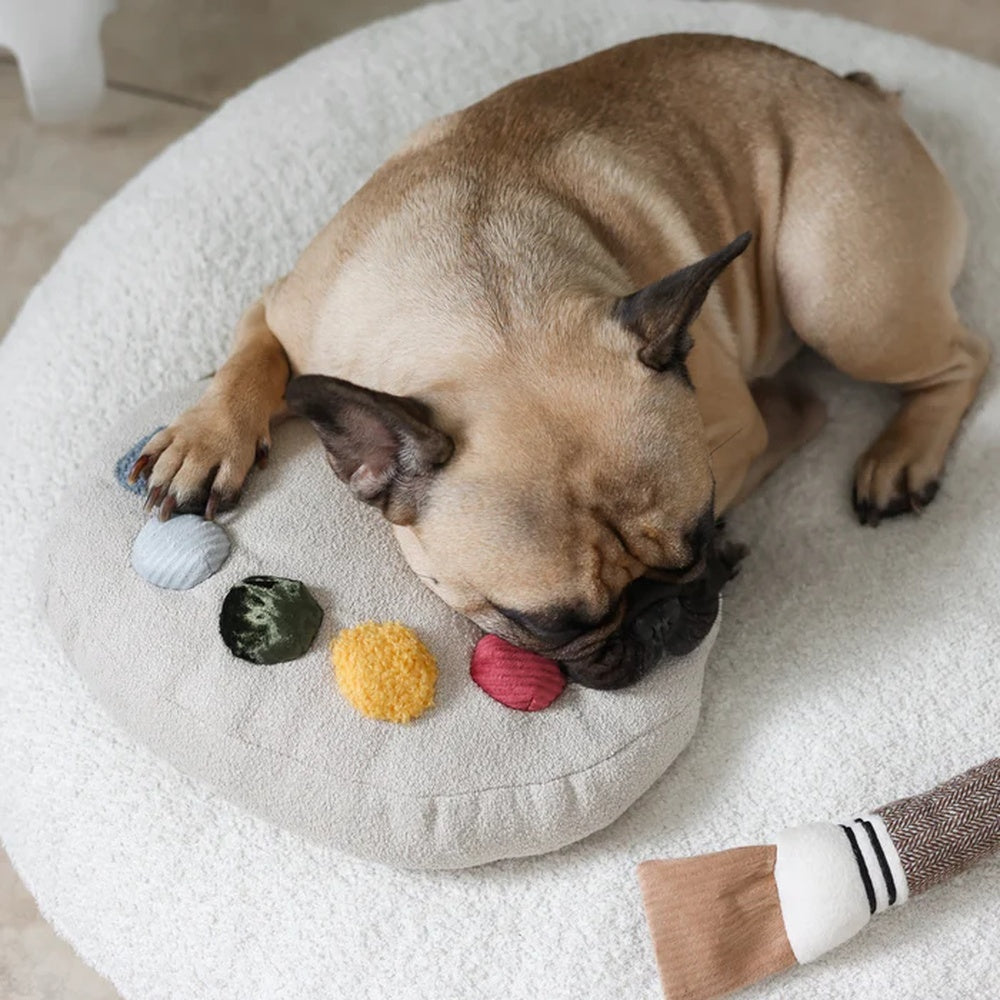 Colour Palette Set Cushion + Toss Dog Toy