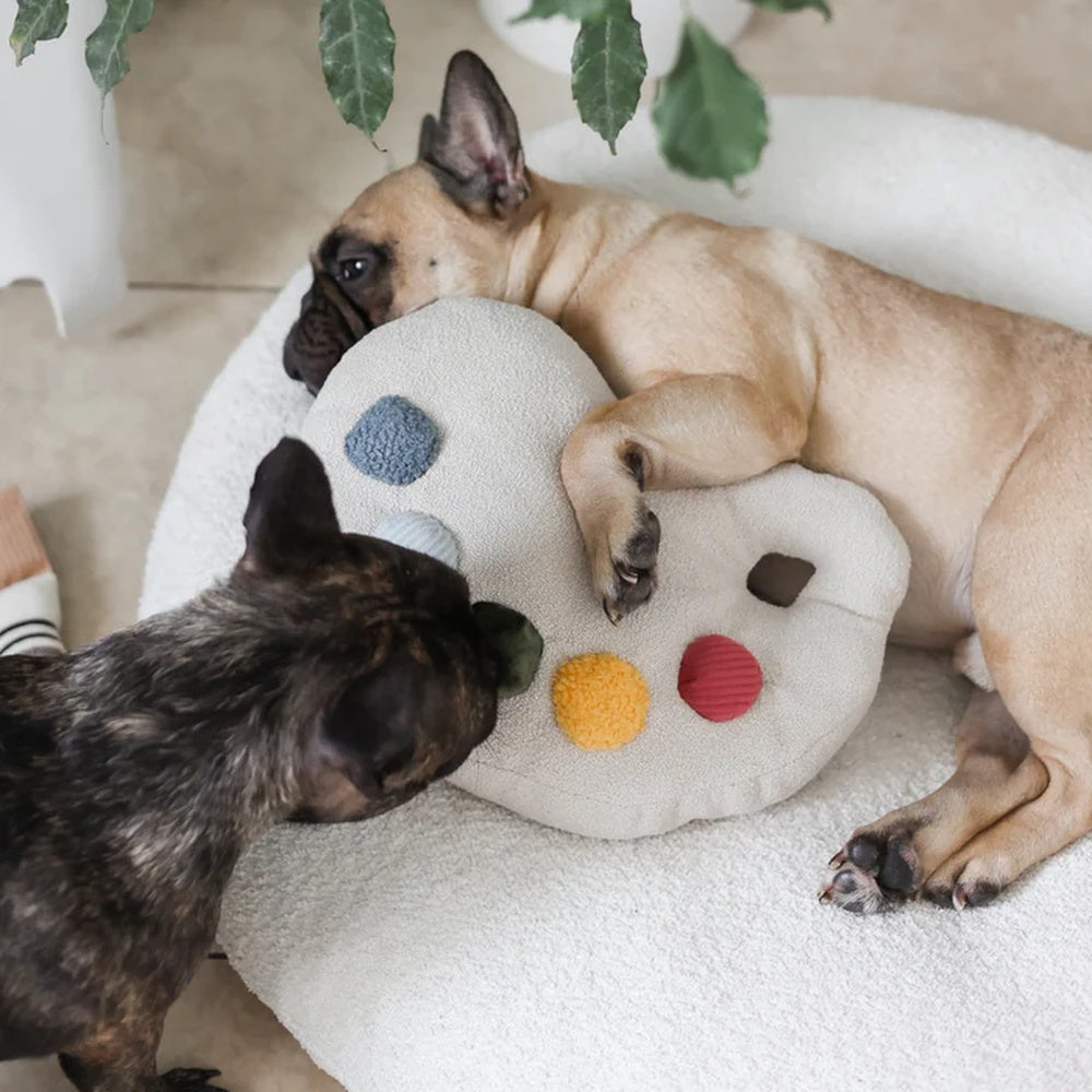 Colour Palette Set Cushion + Toss Dog Toy