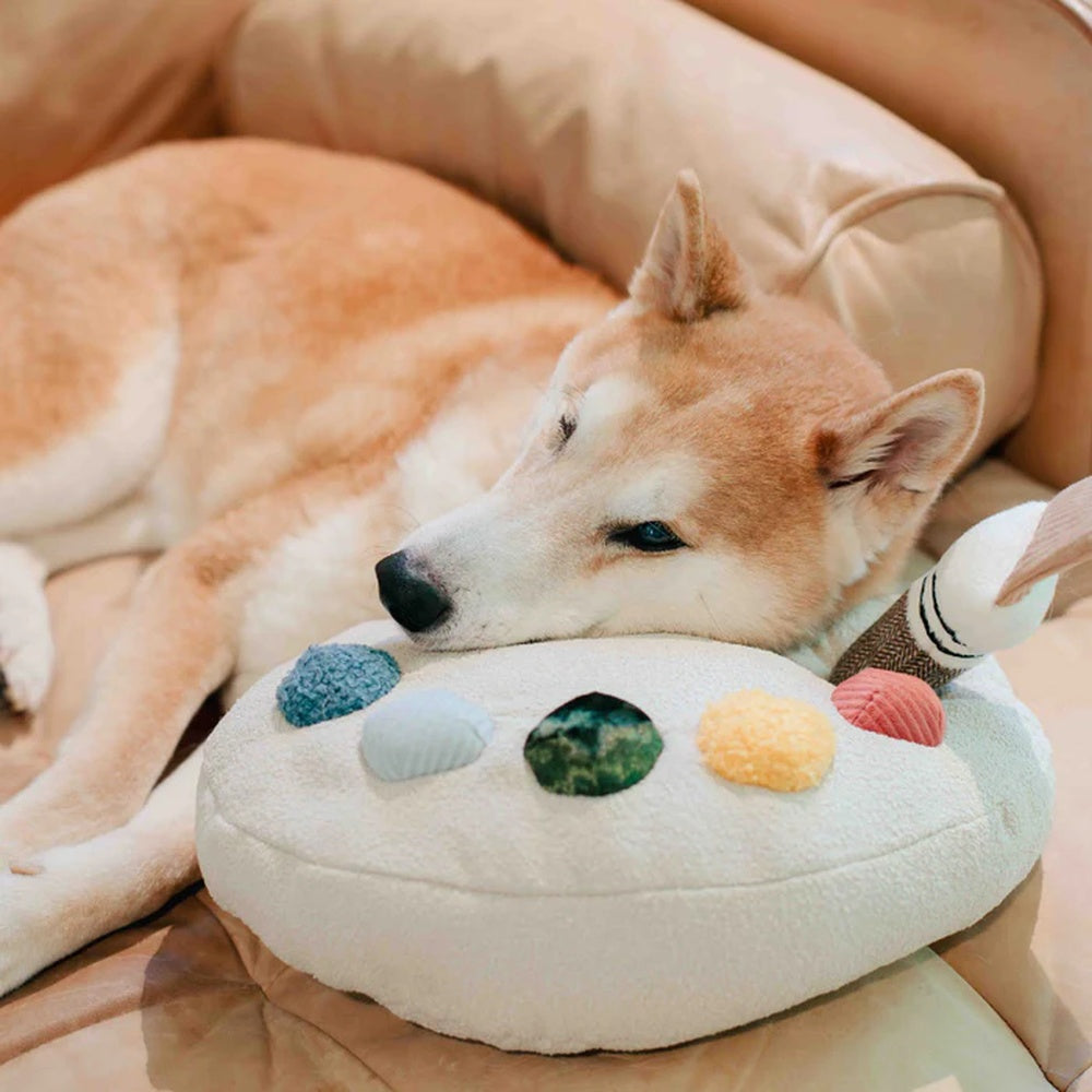 Colour Palette Set Cushion + Toss Dog Toy