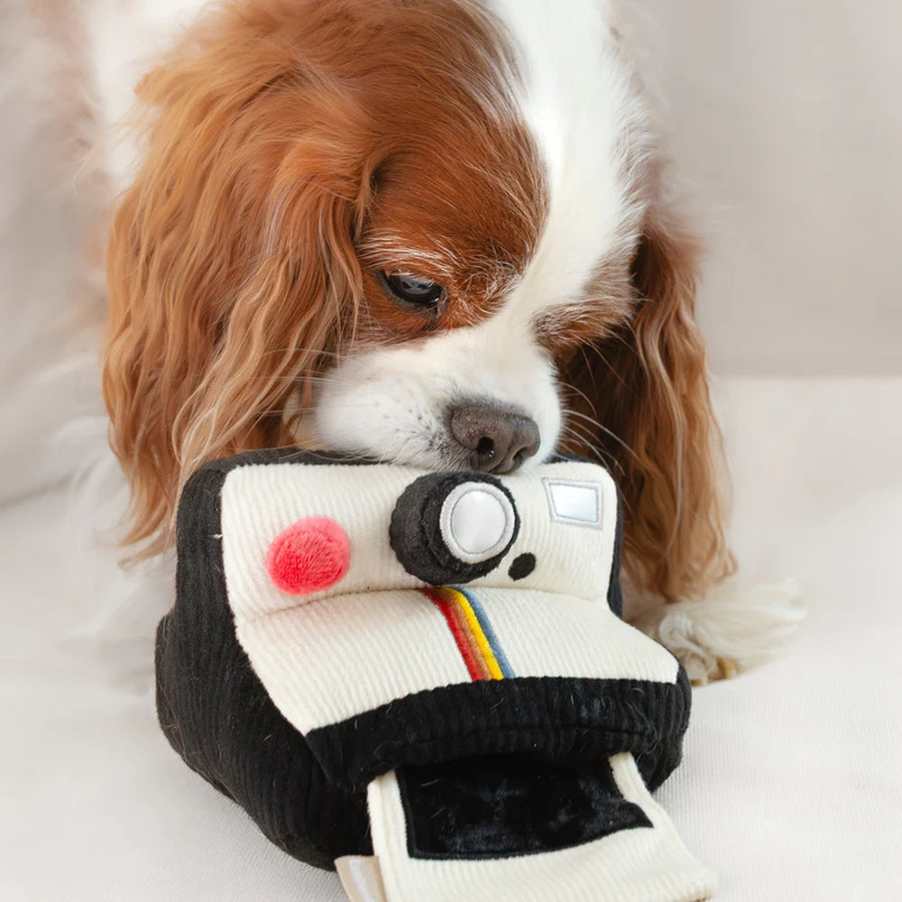 Instant Camera Snuffle + Squeaky Dog Toy