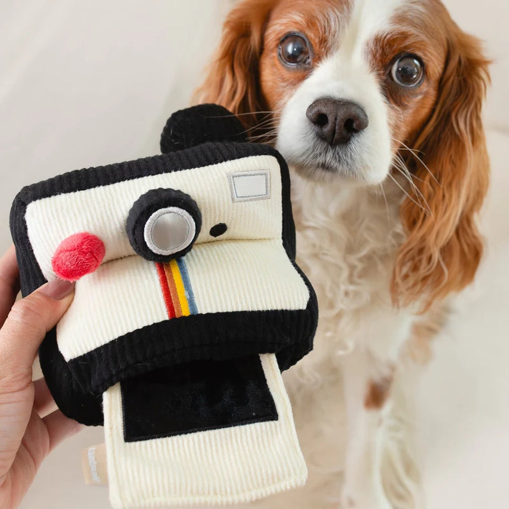 Instant Camera Snuffle + Squeaky Dog Toy