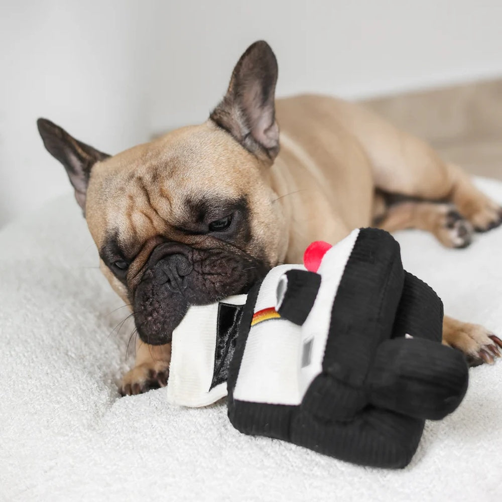 Instant Camera Snuffle + Squeaky Dog Toy