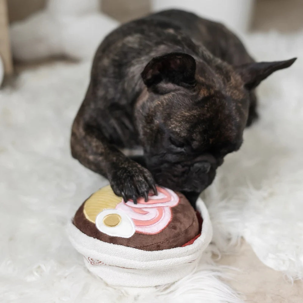 Ramen Snuffle + Squeaky Dog Toy