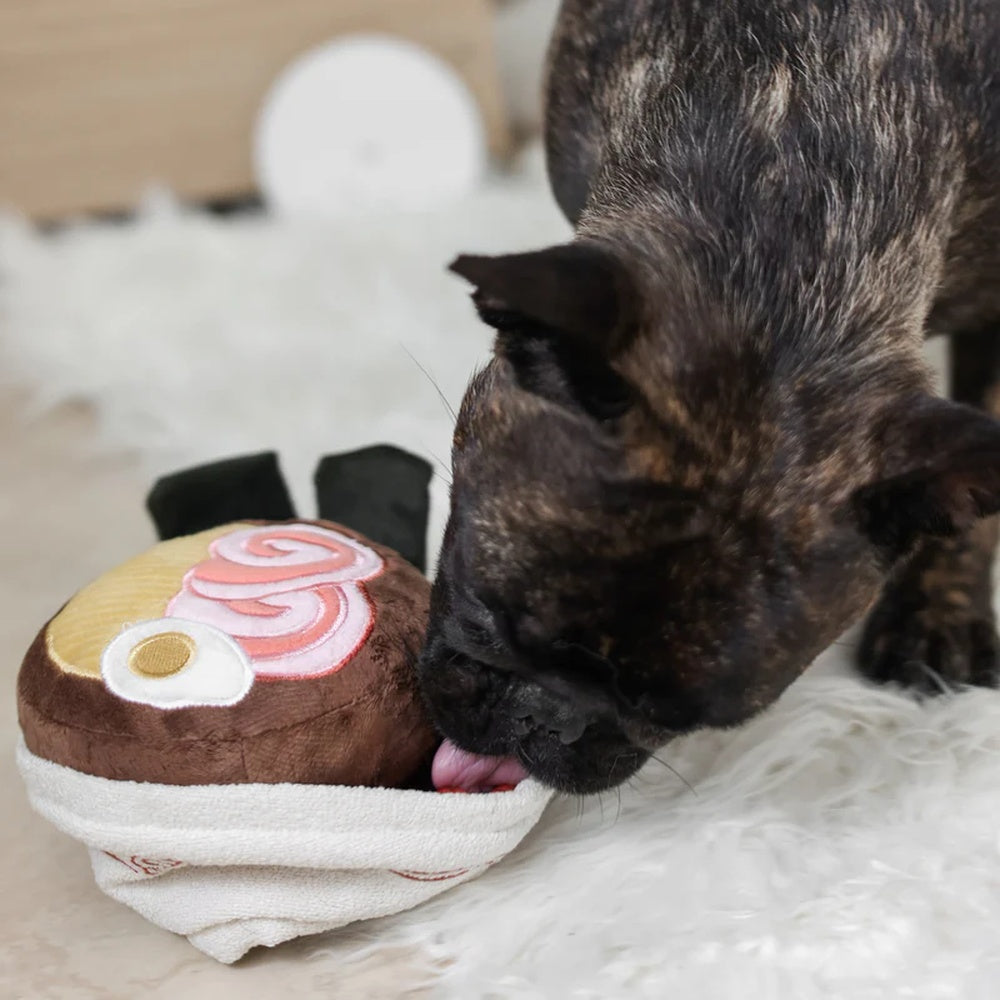 Ramen Snuffle + Squeaky Dog Toy