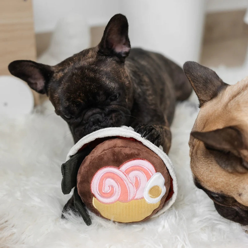 Ramen Snuffle + Squeaky Dog Toy