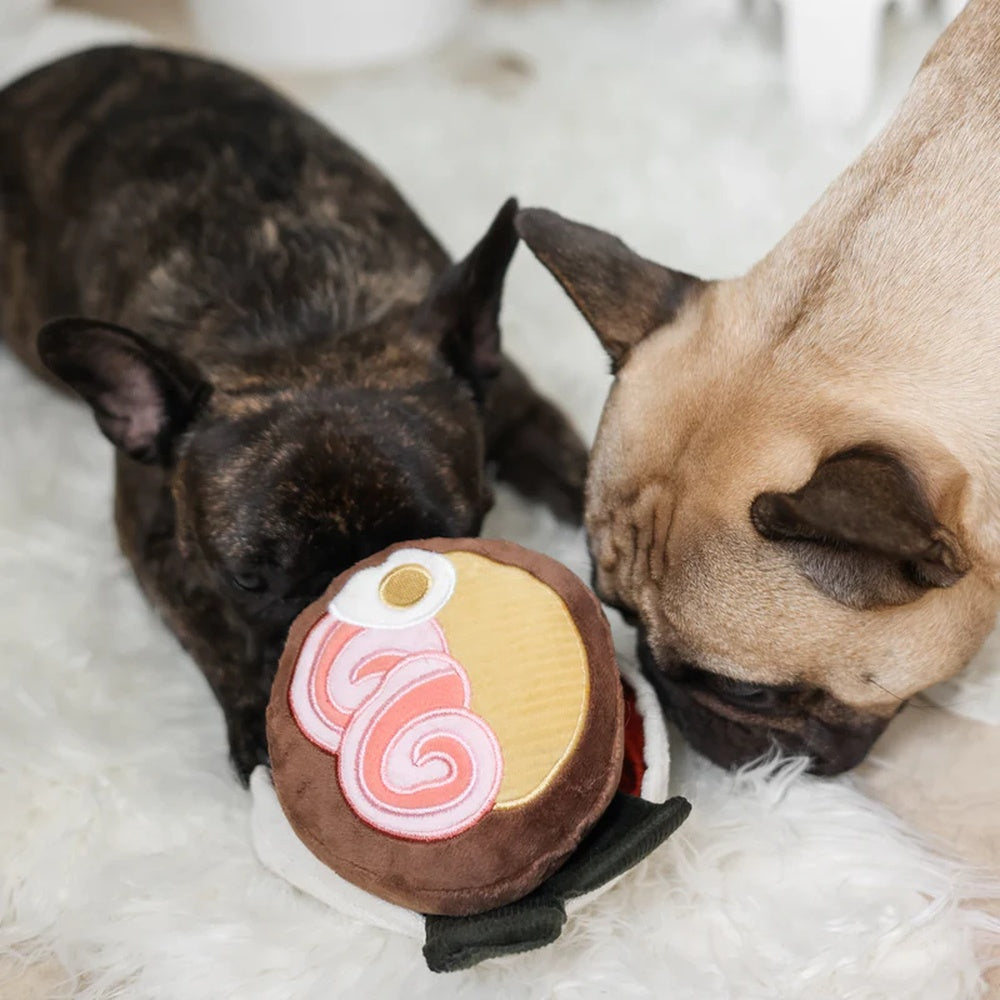 Ramen Snuffle + Squeaky Dog Toy