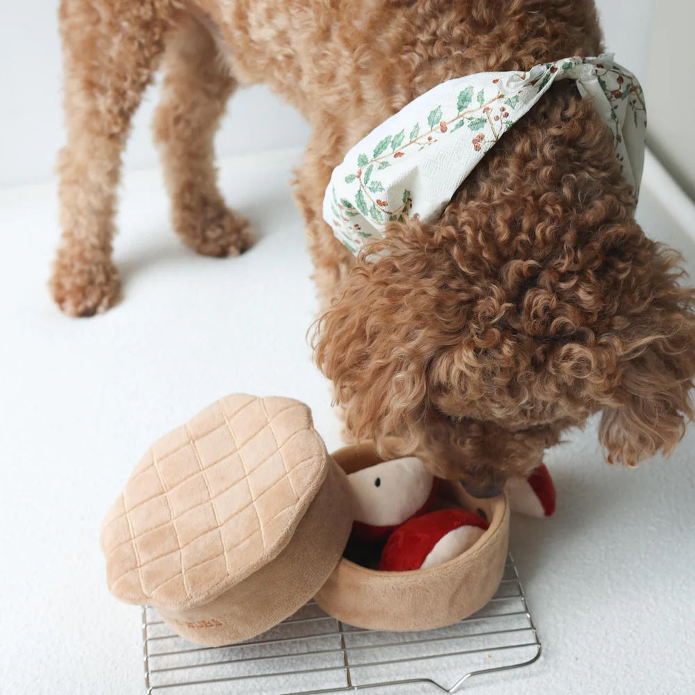 Apple Pie Nosework Dog Plush Toy
