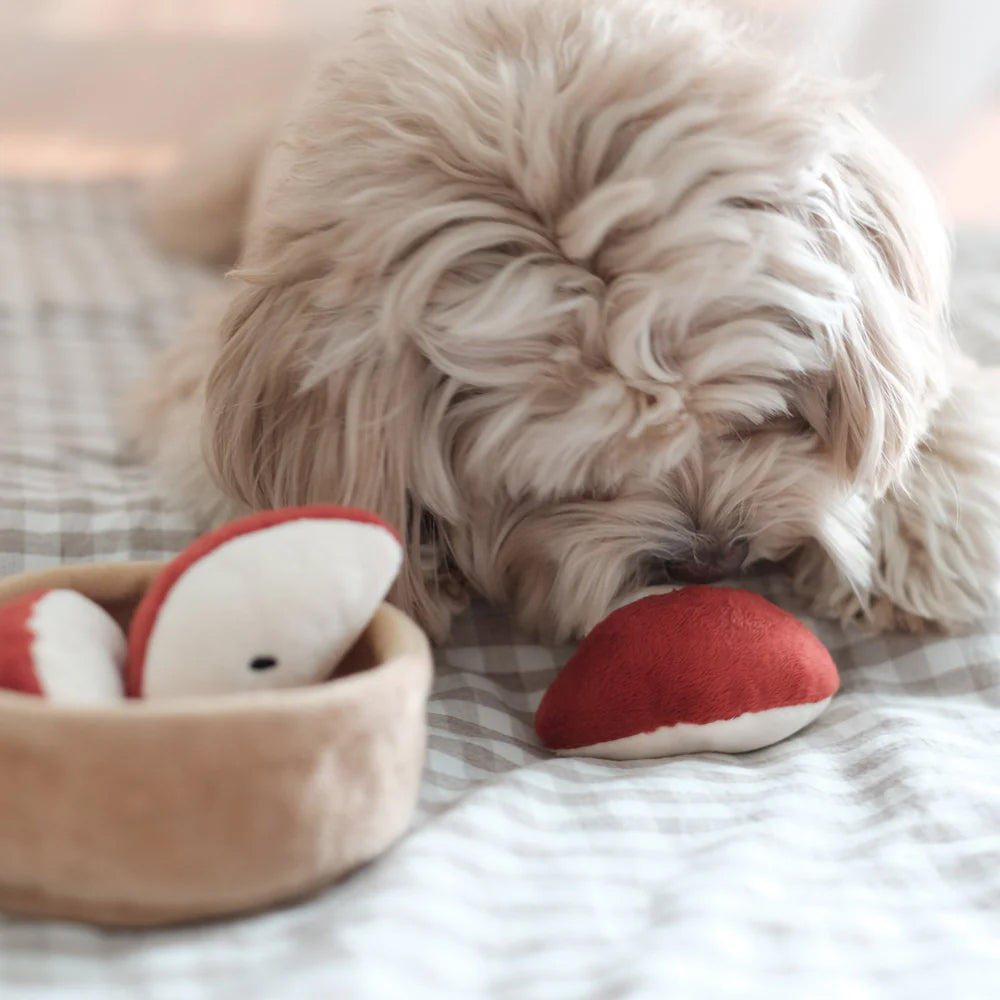 Apple Pie Nosework Dog Plush Toy