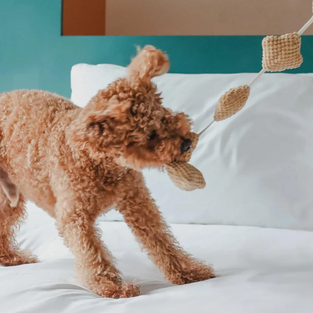 Popcorn Nosework Dog Plush Toy