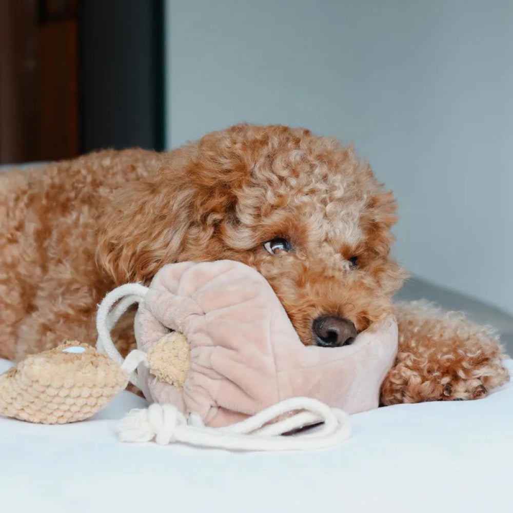Popcorn Nosework Dog Plush Toy