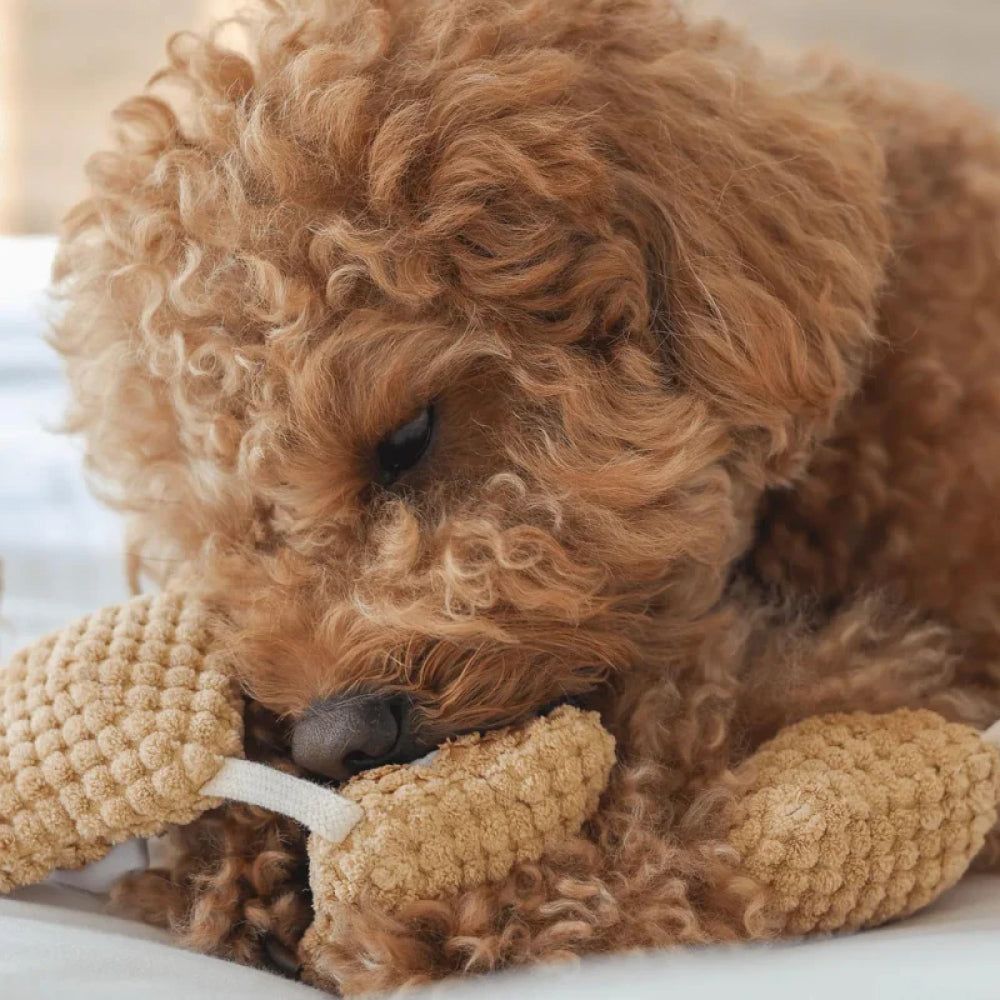 Popcorn Nosework Dog Plush Toy