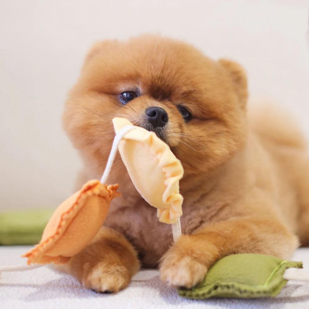 Ravioli Nosework Dog Plush Toy