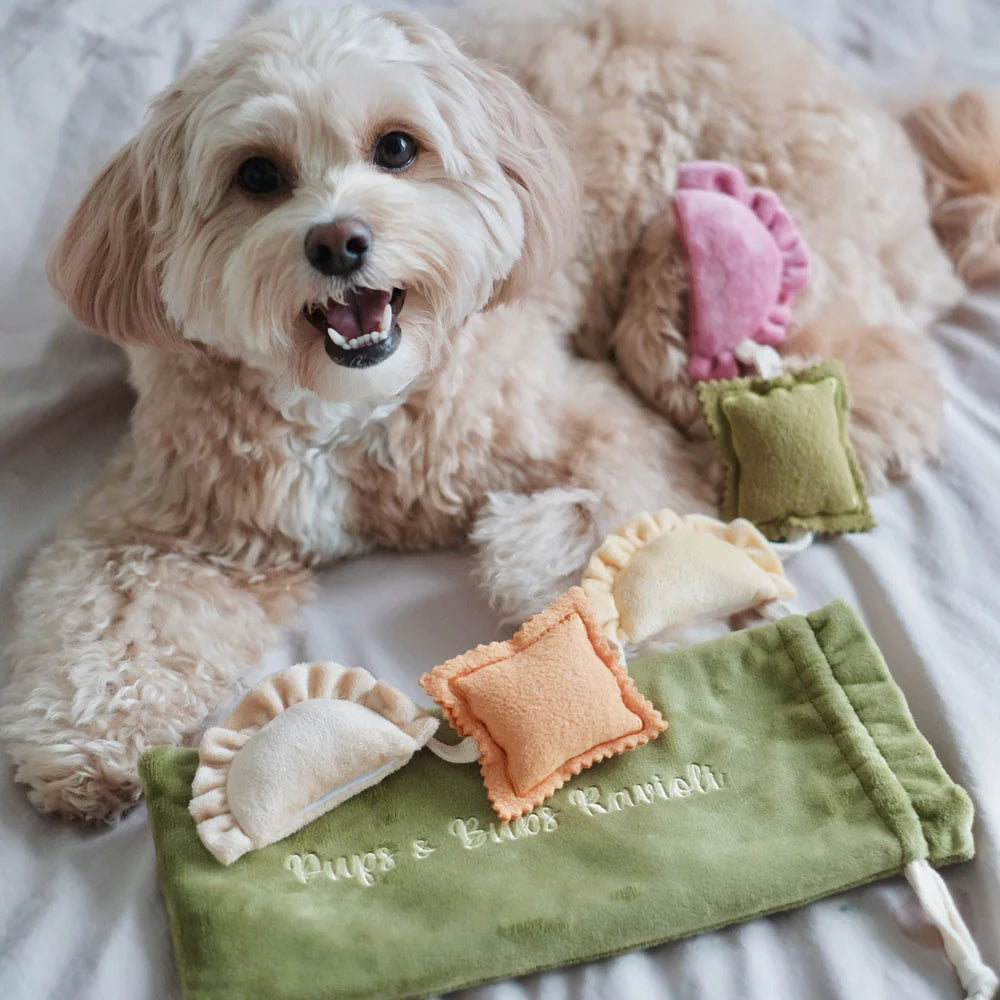 Ravioli Nosework Dog Plush Toy